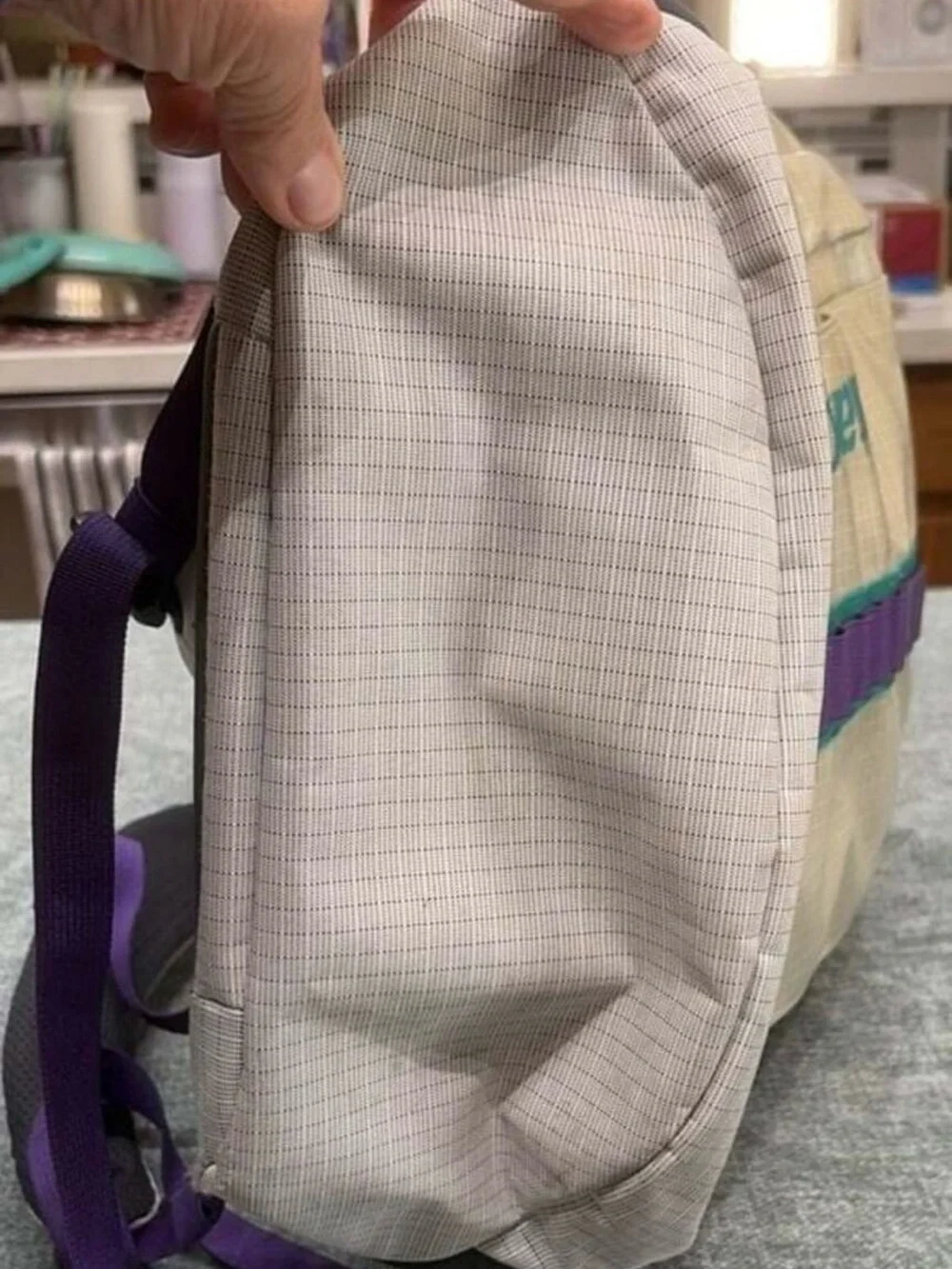 Retired Patagonia White Backpack with Purple & Teal Accents